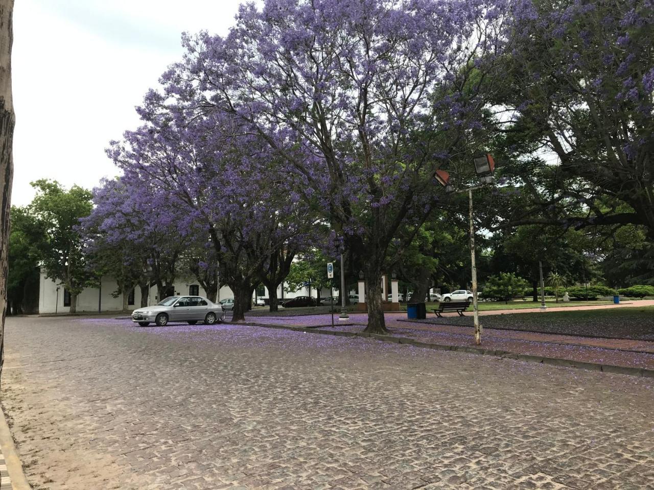 Holiday home El Jacaranda, Relax, En