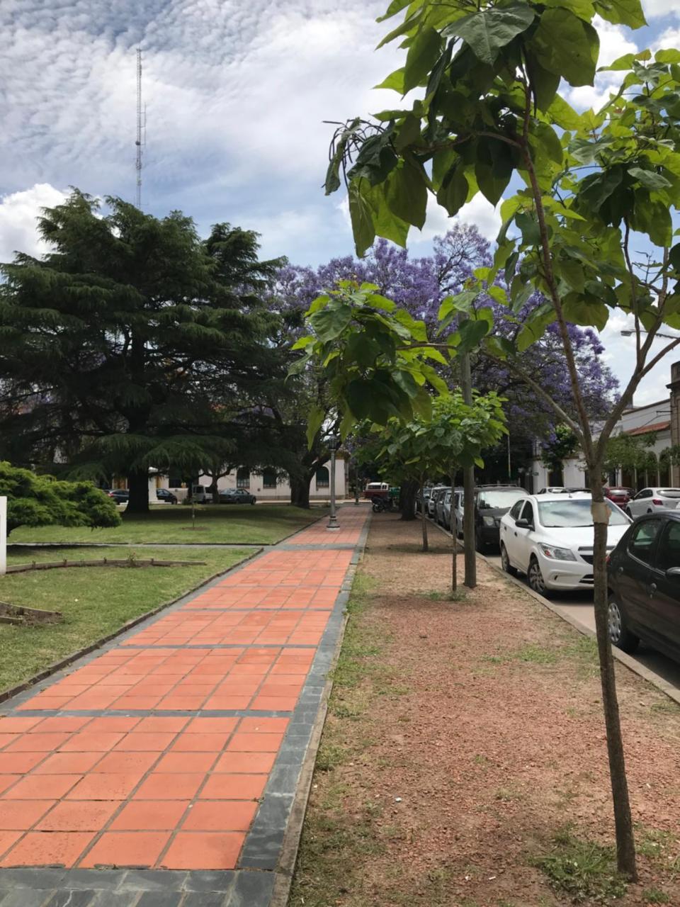 El Jacaranda, Relax, En