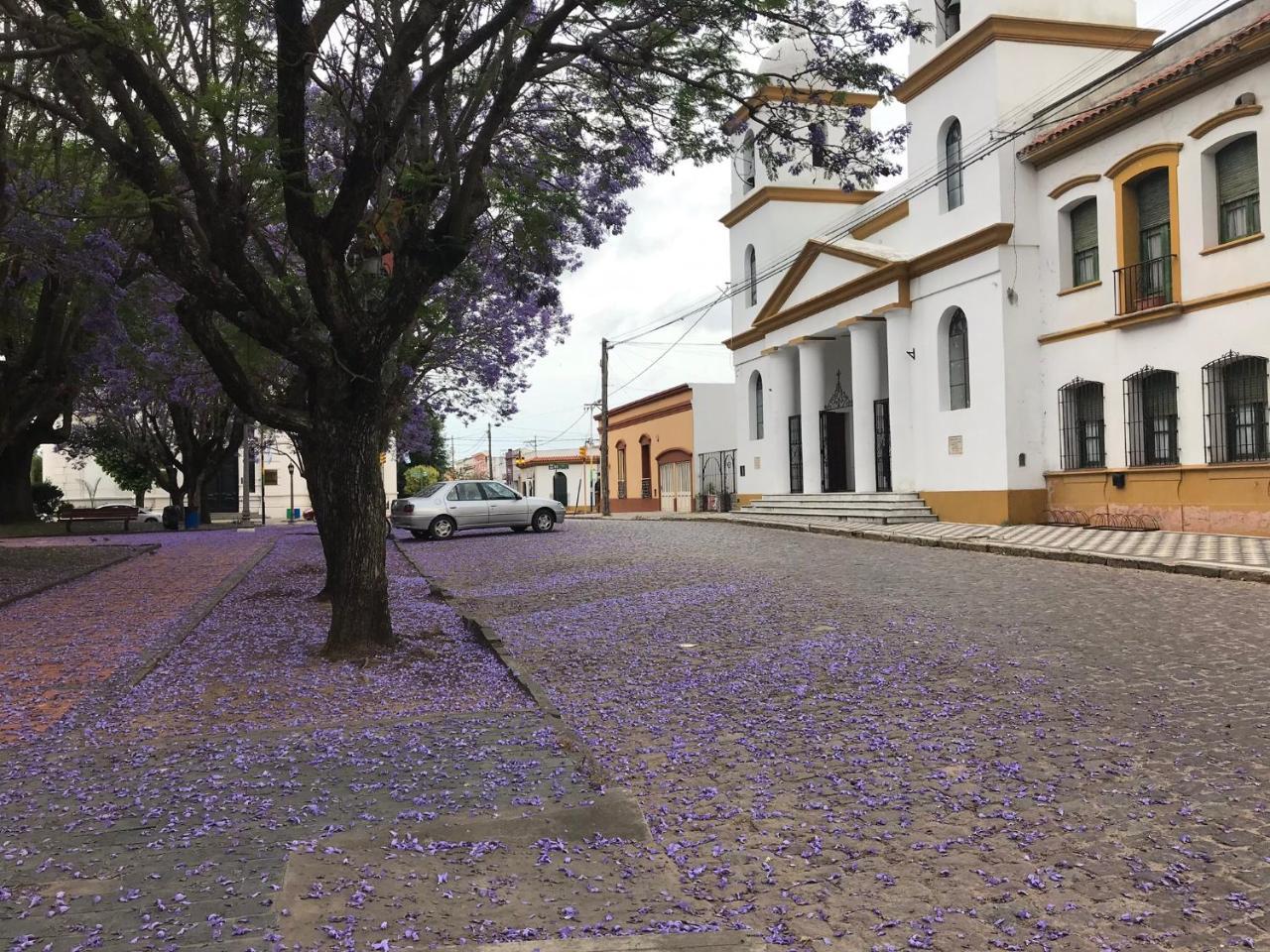 El Jacaranda, Relax, En Holiday home Chascomus