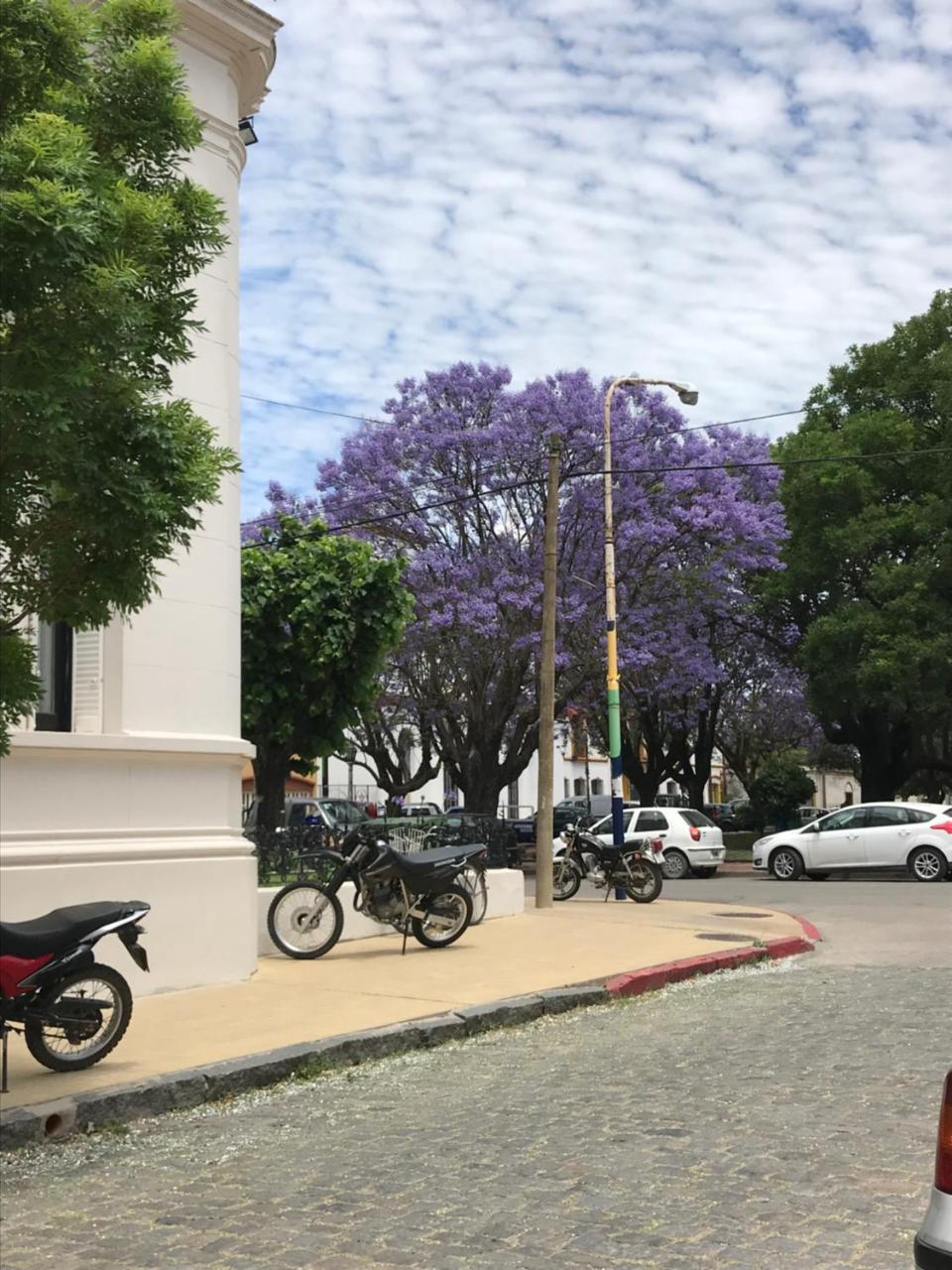 El Jacaranda, Relax, En Holiday home