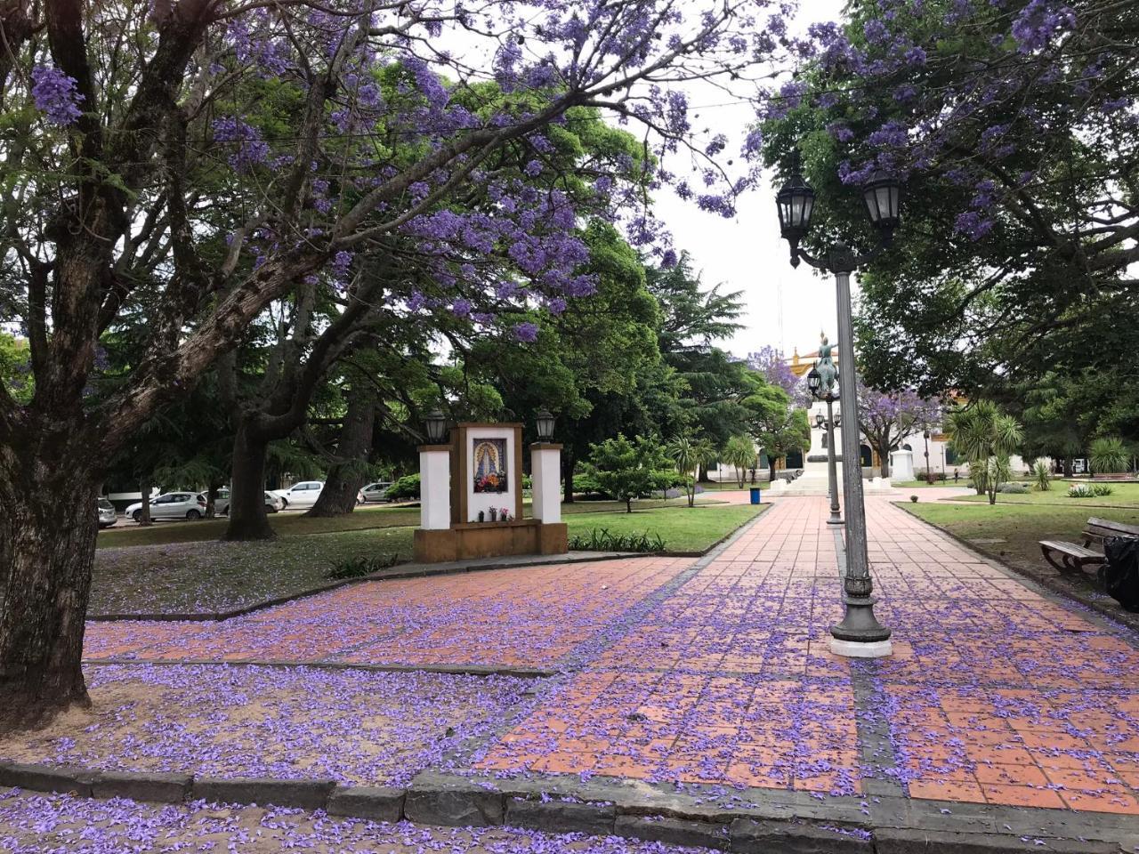 Holiday home El Jacaranda, Relax, En *